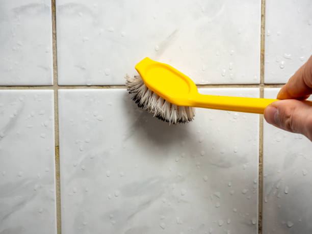 Best Mold Removal Near Me  in Broken Bow, NE