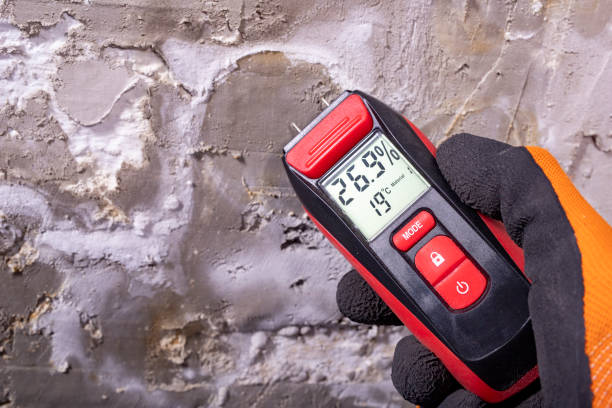 Best Mold Removal Company Near Me  in Broken Bow, NE