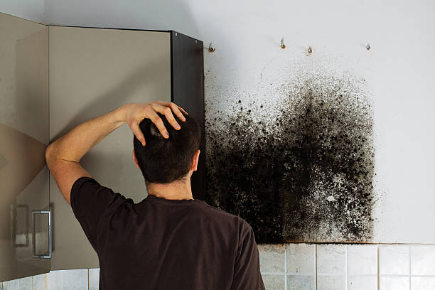 Best Home Mold Removal  in Broken Bow, NE