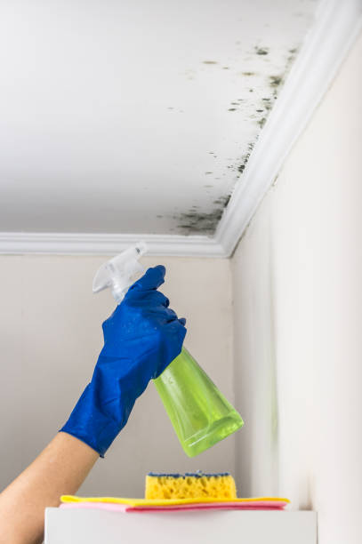 Best Crawl Space Mold Removal  in Broken Bow, NE